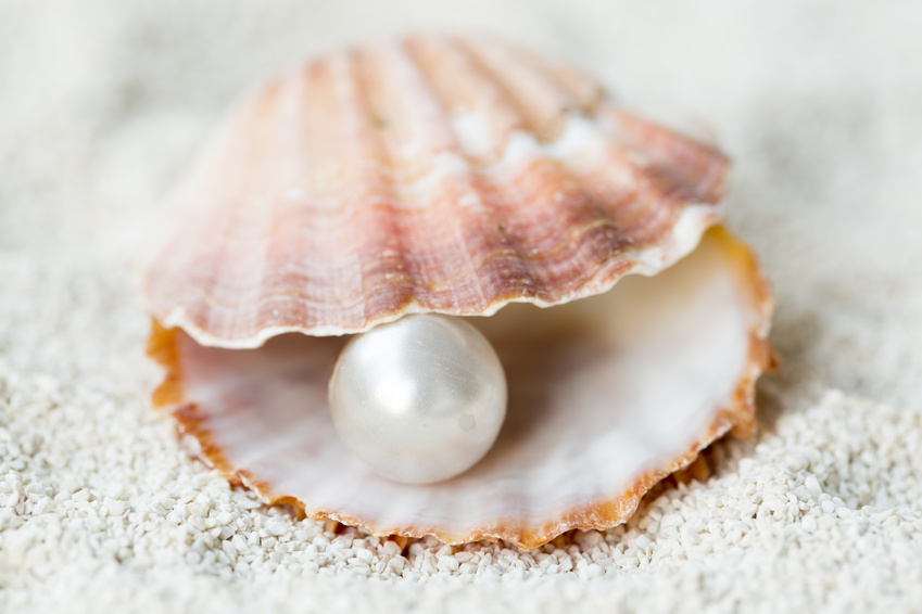 Eine Perle in einer Muschel liegt am Strand.