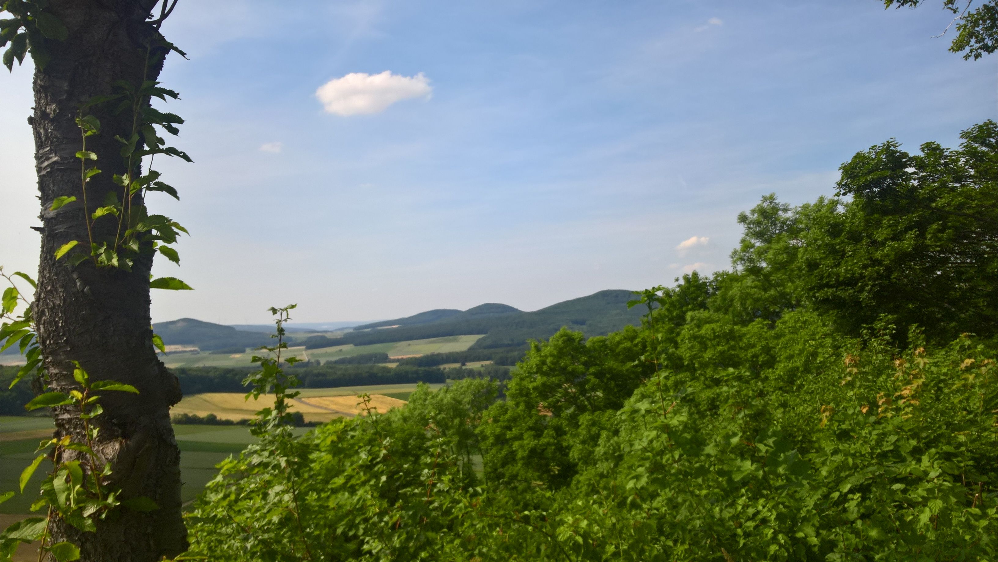 Blick von einem Berg in das weite Land!