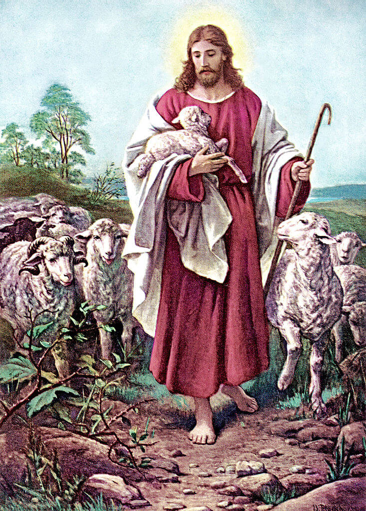 Ein Hirt geht einer Herde voran und trägt ein Lamm auf seinem Arm.