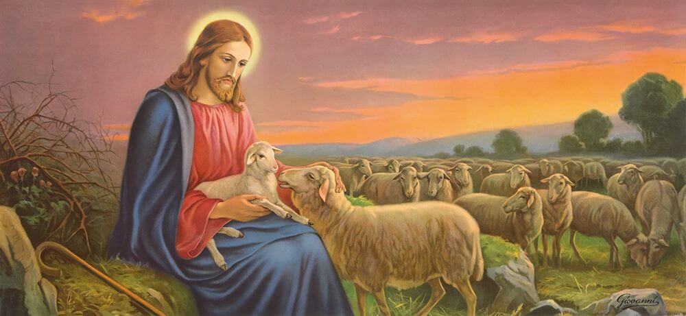 Jesus weidet Schafe. Ein Lamm sitzt auf seinem Schoß. Ein anderes Schaf beschnuppert es.