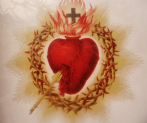 SAMMLUNG VON NOVENEN visual data 8