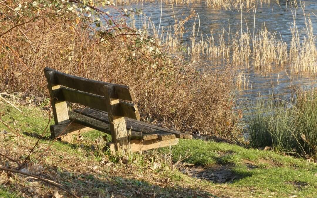 Anbetung – Herr, zeige mir Deinen Weg