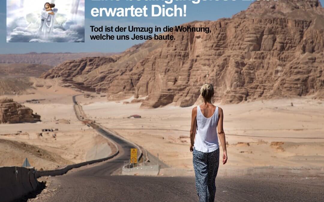 WGD – Eine bedingungslose Liebe erwartet Dich