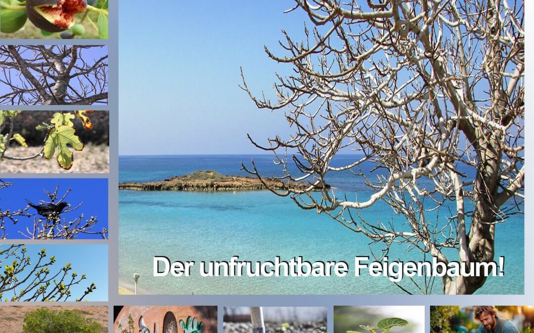 WGD – Der unfruchtbare Feigenbaum